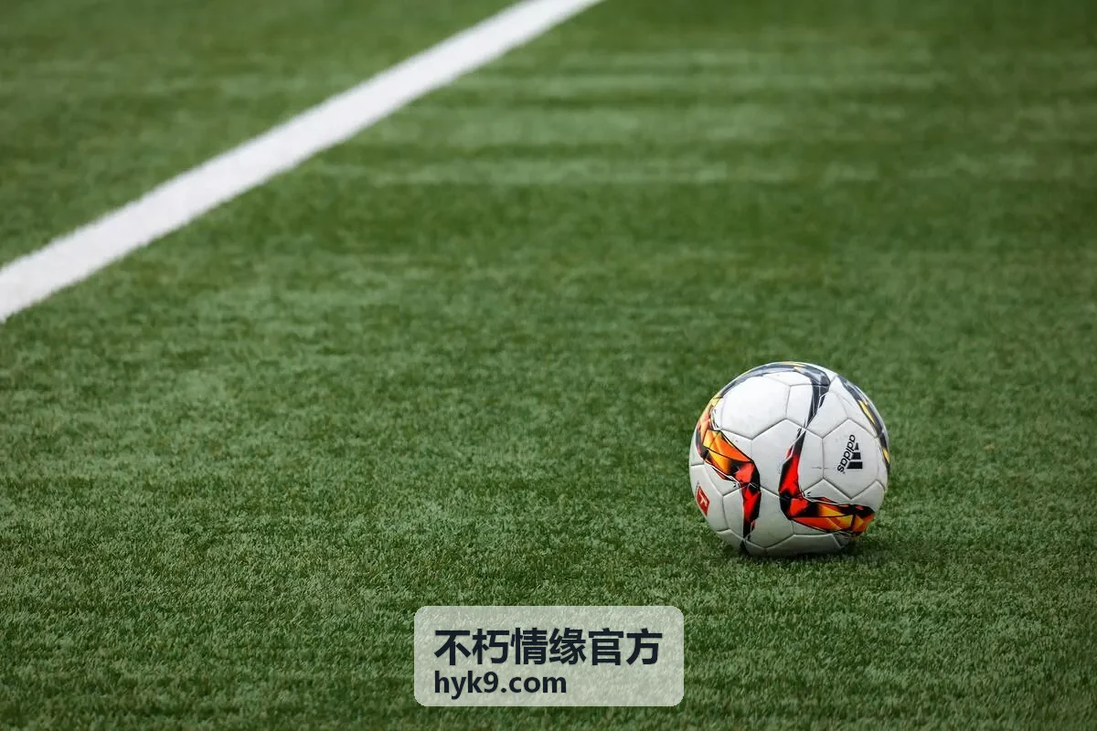 不朽情缘官方家庭纪念收藏礼盒封面